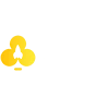 RocketPlay Casino